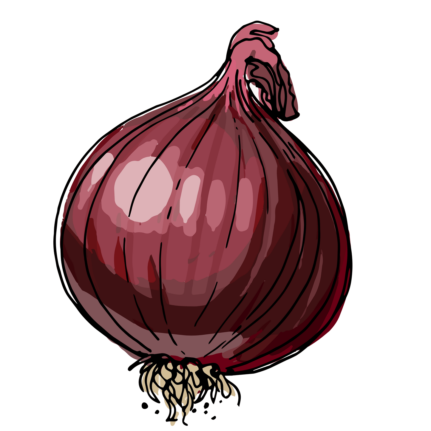 Cipolla rossa tipo Tropea - 1 Kg