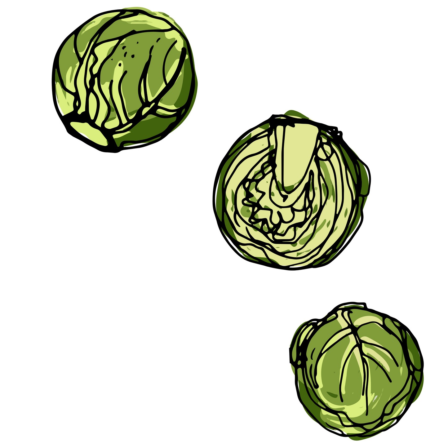 Cavolo cappuccio - 1 Kg