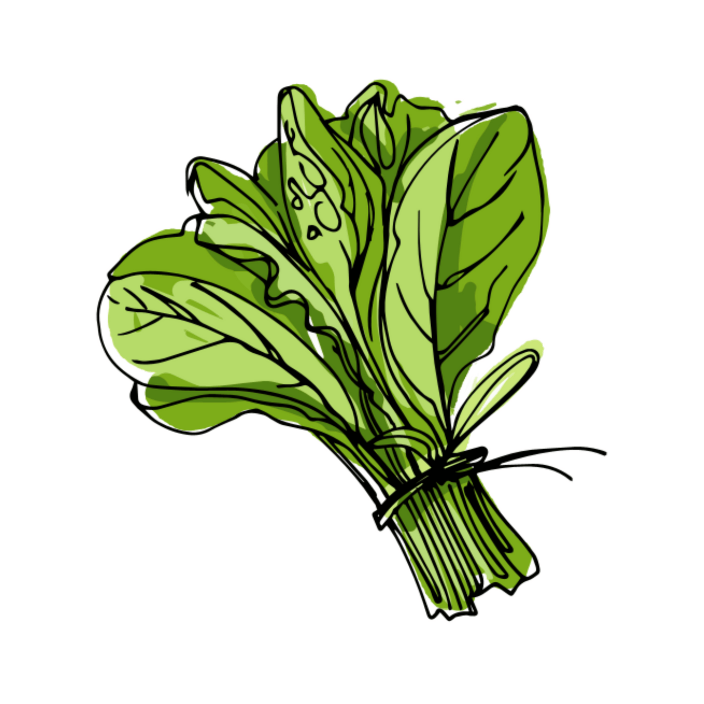 Biete/giri colorati - mazzo