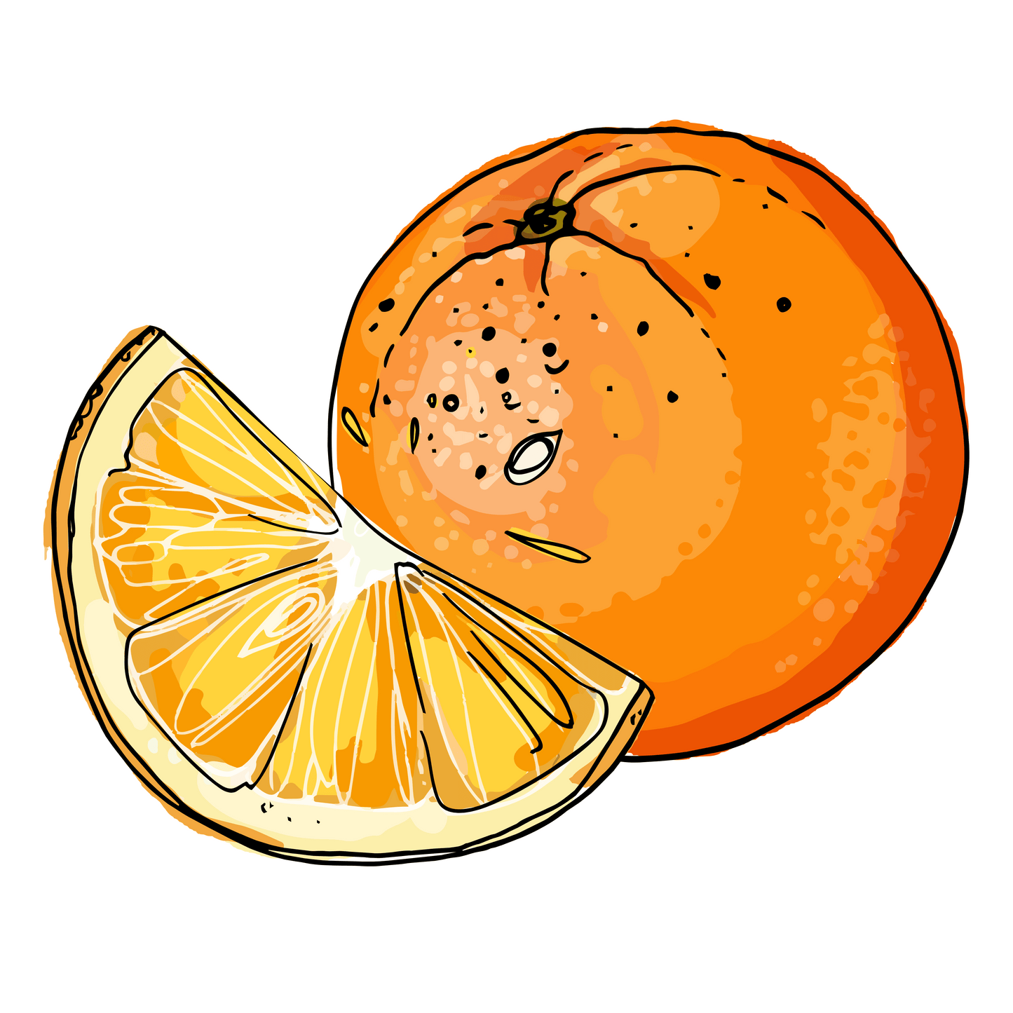 Arancia Valencia - 1 Kg